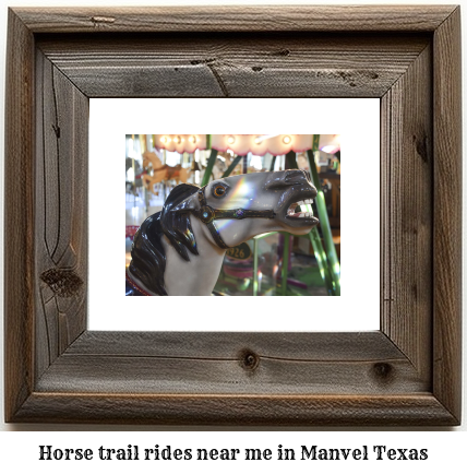 horse trail rides near me in Manvel, Texas